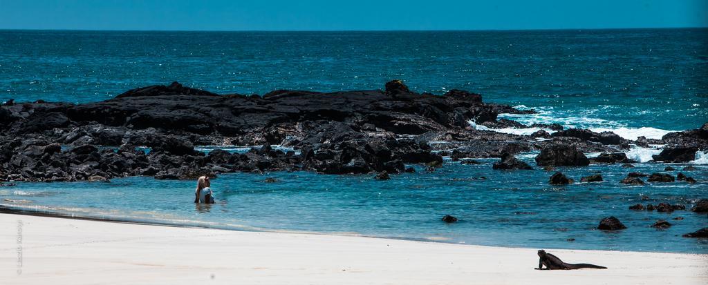 Iguana Crossing Boutique Hotel Puerto Villamil Εξωτερικό φωτογραφία