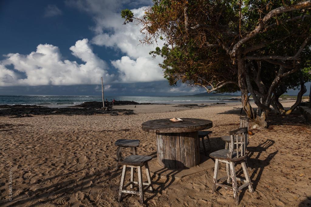 Iguana Crossing Boutique Hotel Puerto Villamil Εξωτερικό φωτογραφία